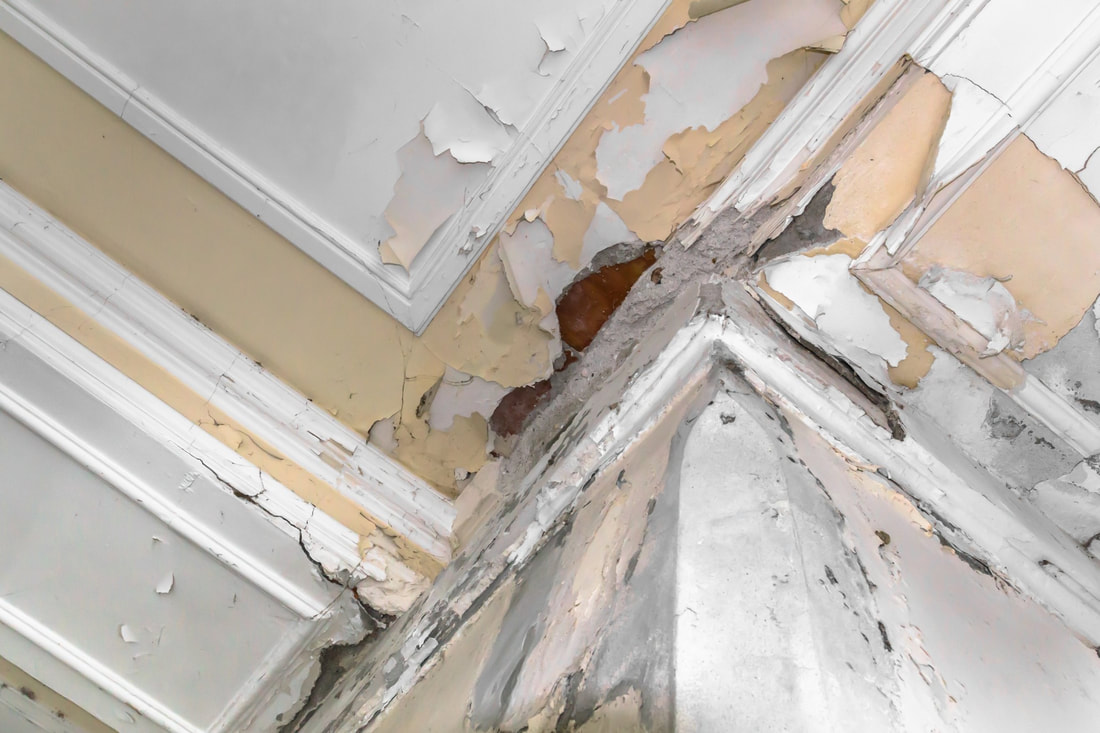 Get Free Snacks Ceiling Removal Quote Currently!